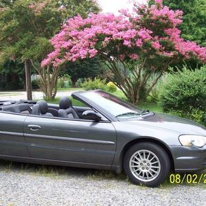 Meet your Posher, Jill